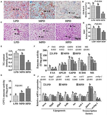 Dietary Phosphorus Reduced Hepatic Lipid Deposition by Activating Ampk Pathway and Beclin1 Phosphorylation Levels to Activate Lipophagy in Tilapia Oreochromis niloticus